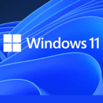 WINDOWS 11 PRO 64 bit (OEM)