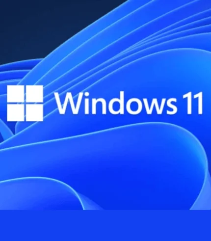 WINDOWS 11 PRO 64 bit (OEM)